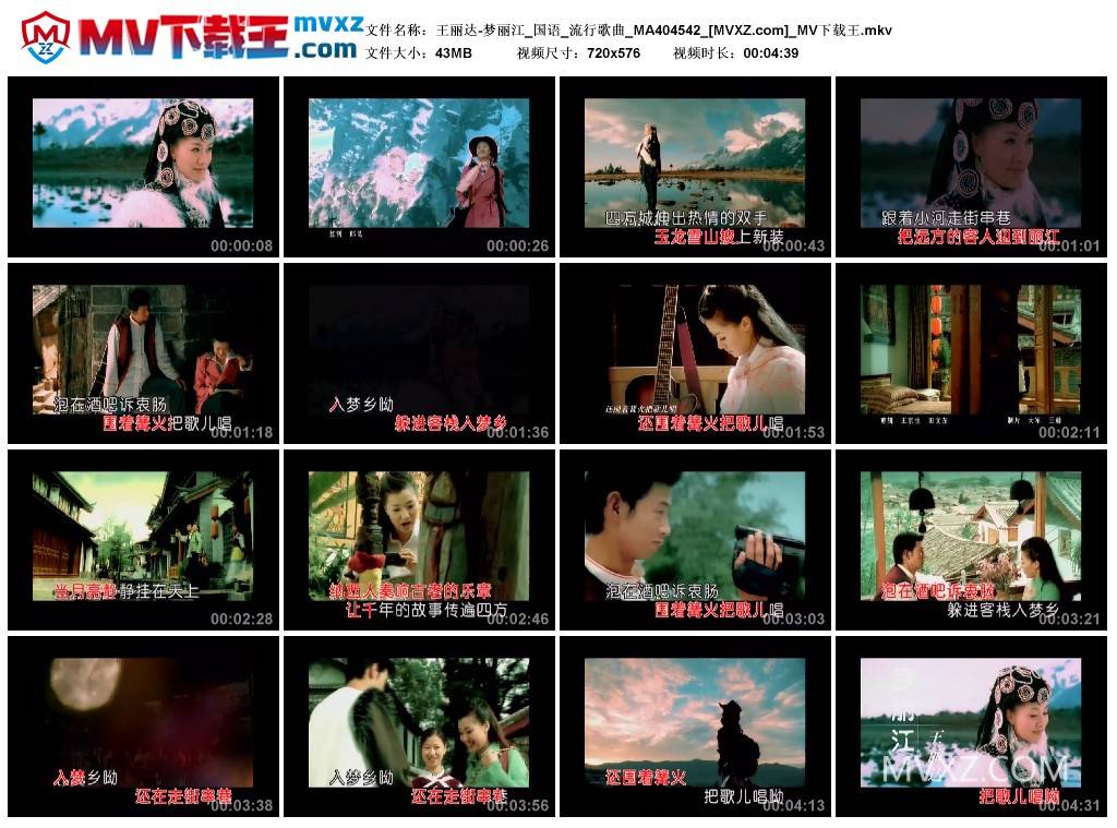 王丽达-梦丽江_国语_流行歌曲_MA404542